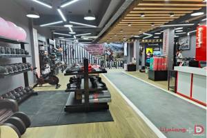  Lifelong Flagship EBO