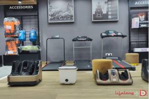  Lifelong Flagship EBO